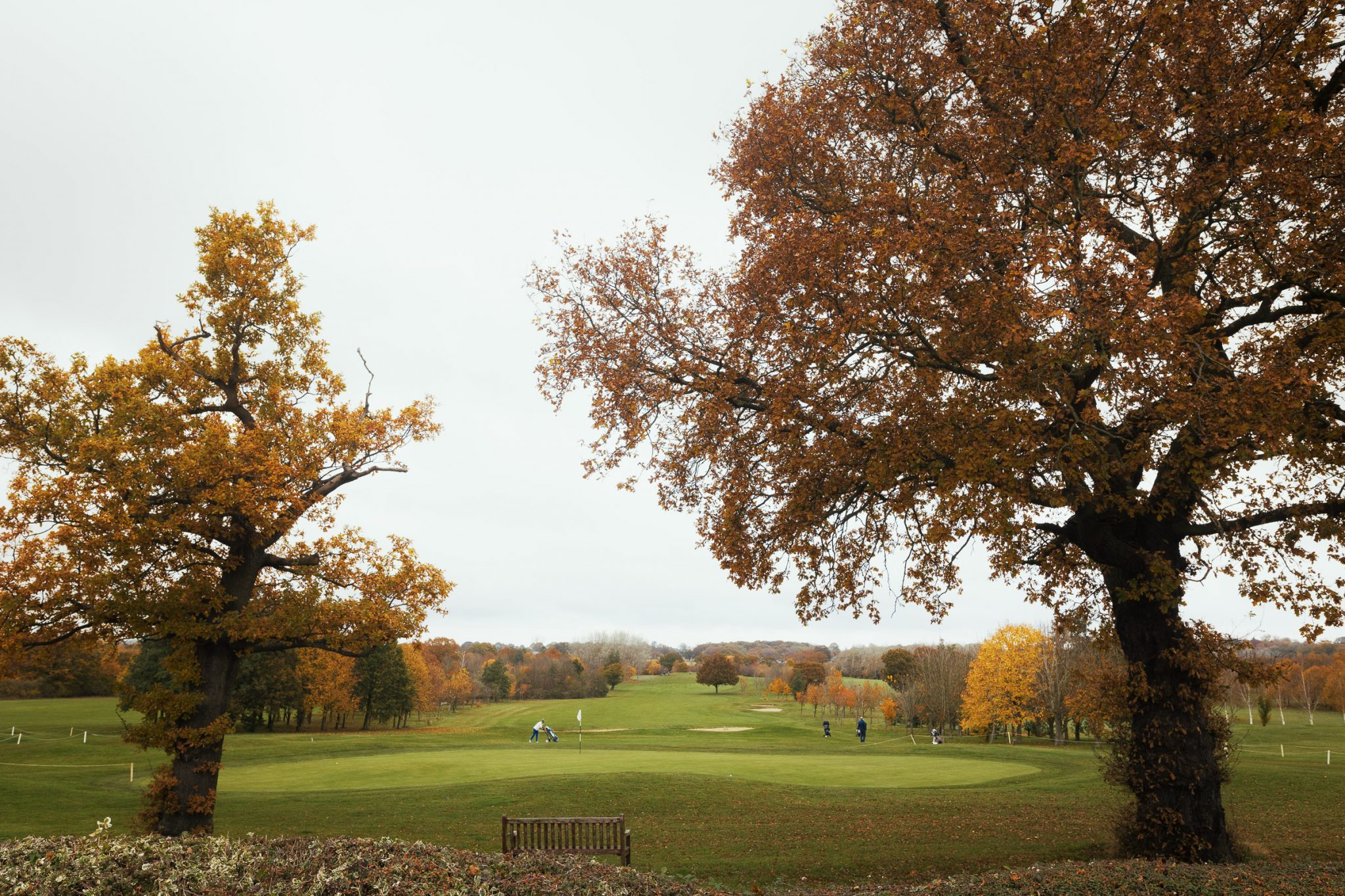 Essex Golf Courses Golf Clubs in Essex Stock Brook